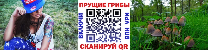 Купить где  Гурьевск  Галлюциногенные грибы Magic Shrooms 